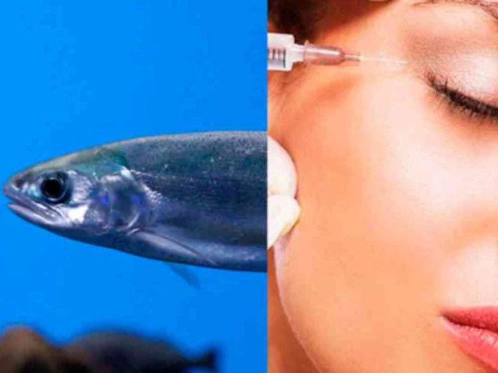 Imagem representando o Tratamentos com PDRN de esperma de salmão para rejuvenescimento da pele